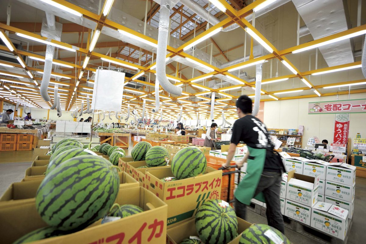 JA周桑直売所 周ちゃん広場 | あいリンク公式WEBサイト